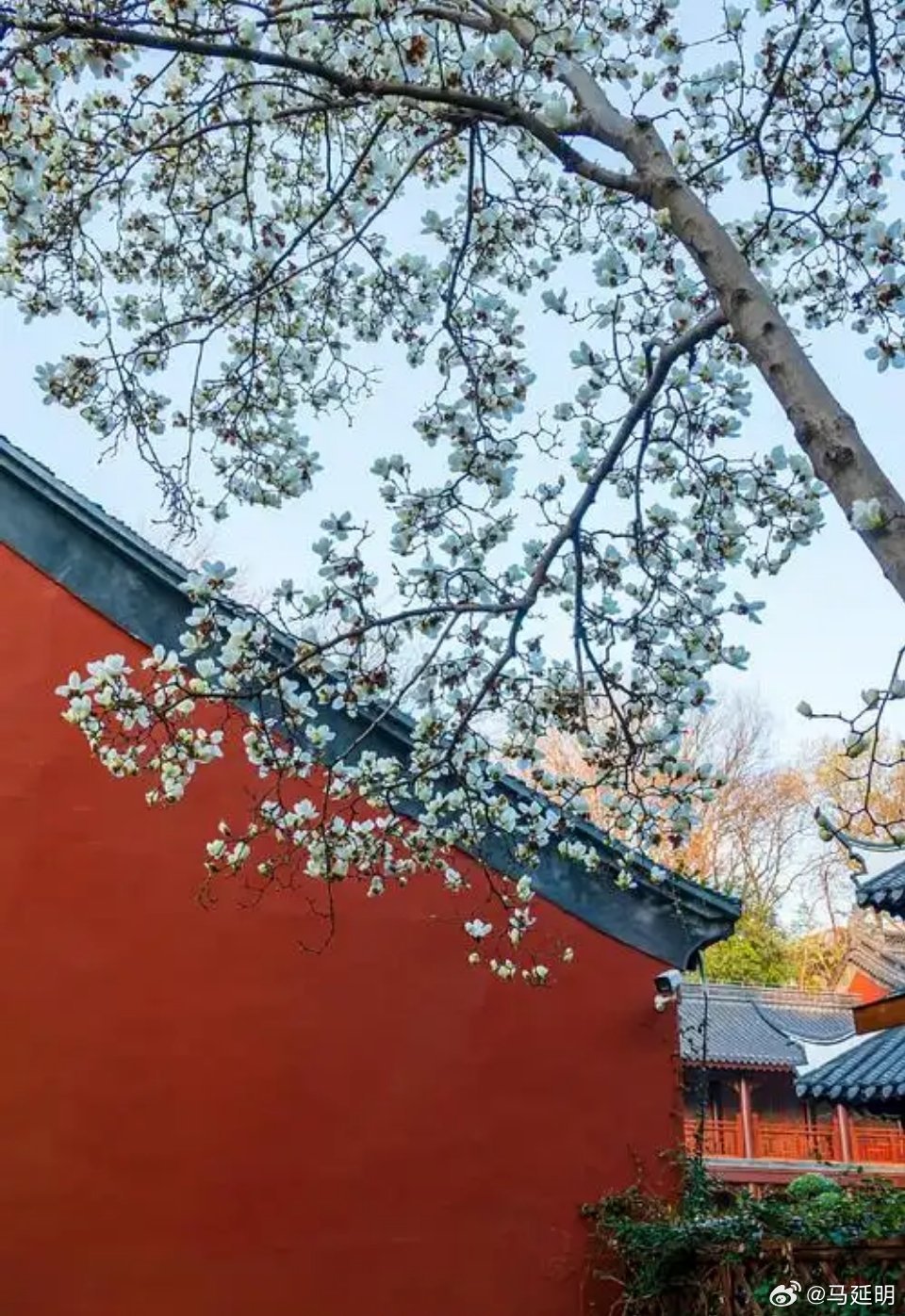 去过南京多次，每次都是急匆匆，都没来得及细细看这座城市。前几天说友人邀请我去看看