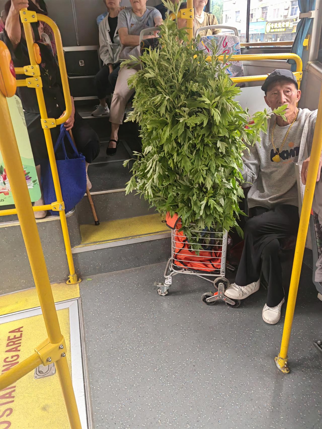 端午挂艾草的由来之一
关于端午挂艾草的传说，流传最广的一个是与唐末黄巢起义‌有关