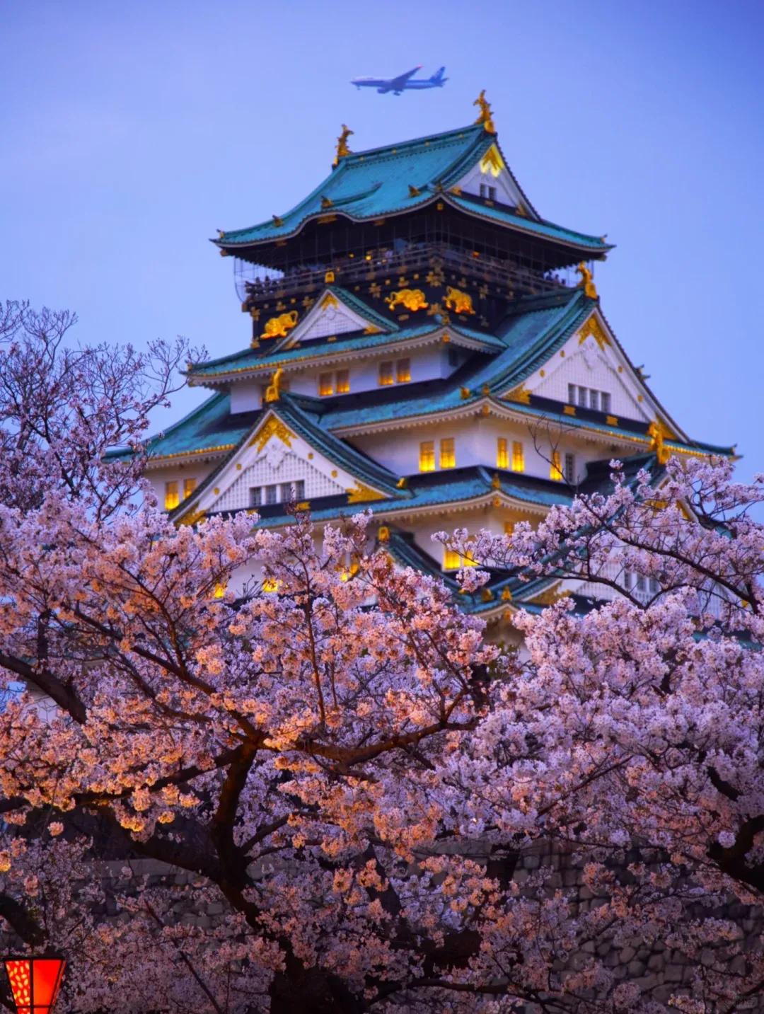 日本在野党结盟这事，还挺值得琢磨。立宪民主党与公明党组建“中道改革联合”，这对高