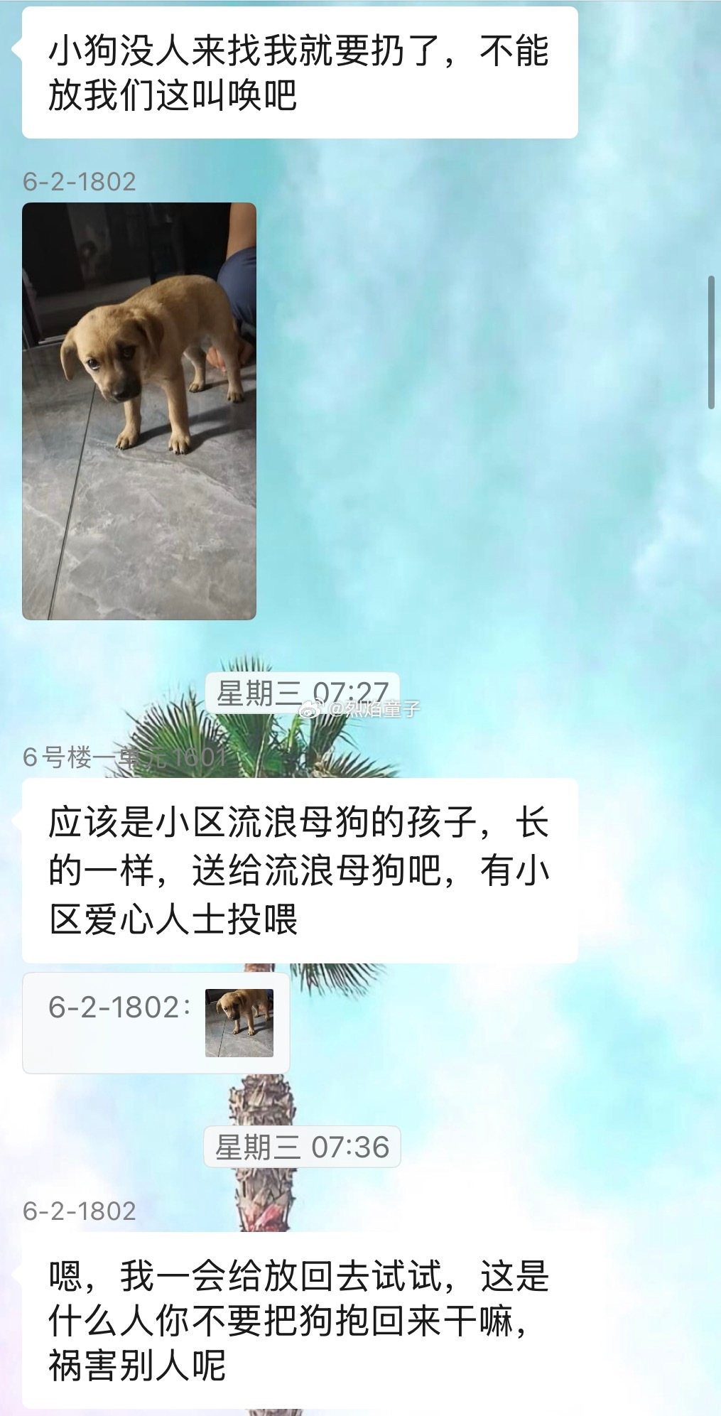 一个月了，我们最北面这三栋楼都能在半夜、清晨听到持续不断的狗叫。就是连着叫半个小