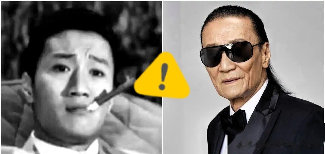 张柏芝的那对儿子，简直是上辈子修来的天大福气吧？这份好运，任谁听了都要感慨一句。