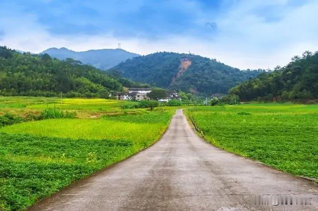 下乡检查那天，麻辣烫的红油香勾住了我的脚步。破木板搭的棚户里，三十多岁的老板坐着