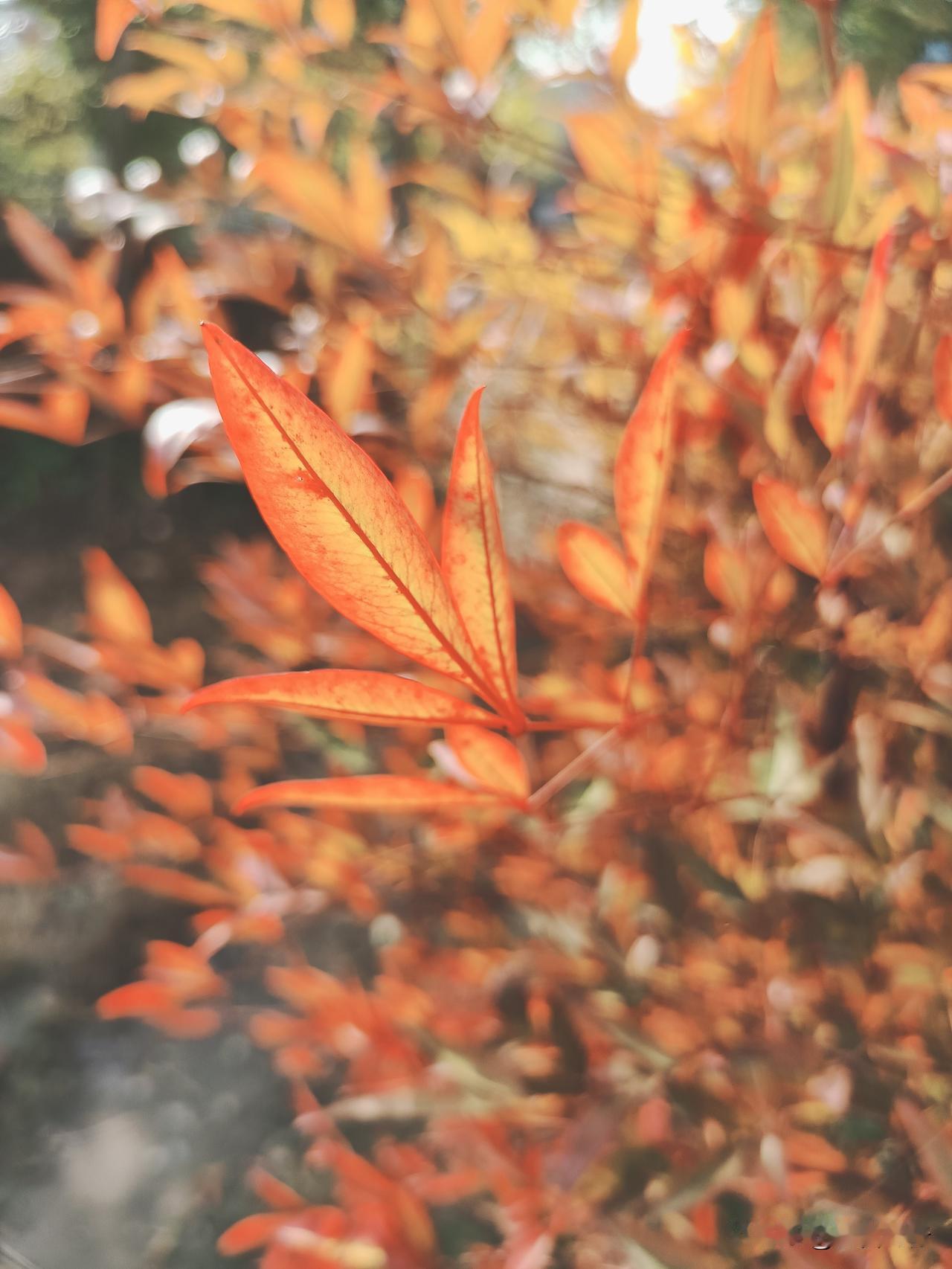 人工智能时代，当物质变得极大丰富，当读书变得不再重要，当劳动变成一文不值，什么才