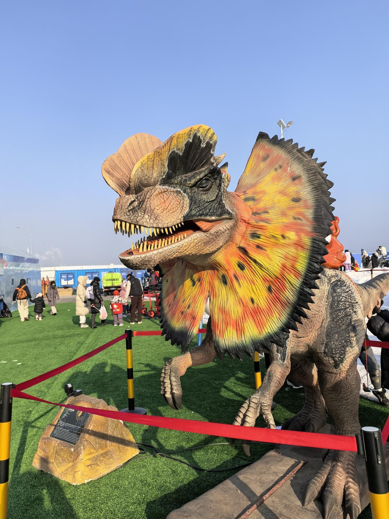 让自己的身体如恐龙般强健。