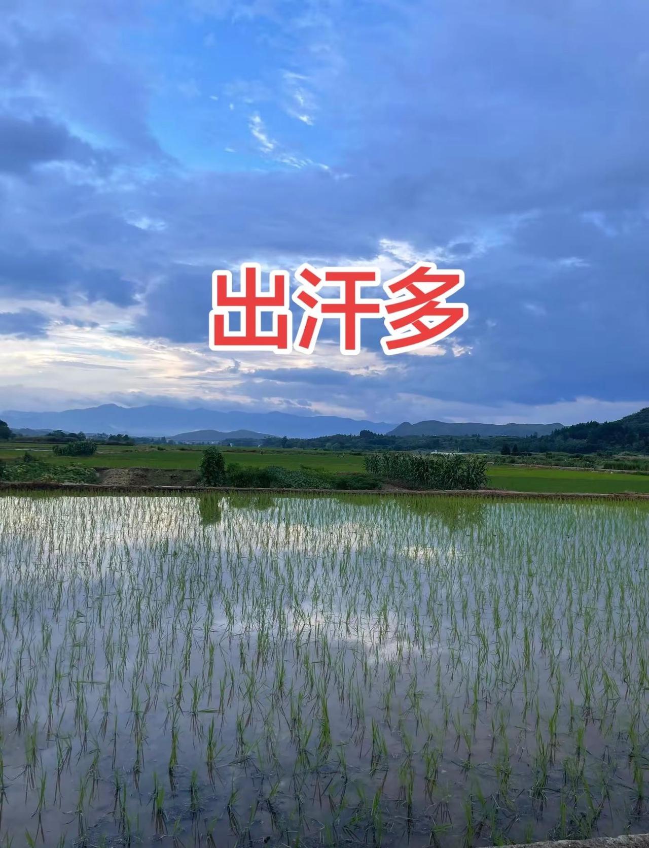 森林狼赢了马刺，总比分直接扳平啦！接下来就是紧张的天王山之战～不过还有个消息：联