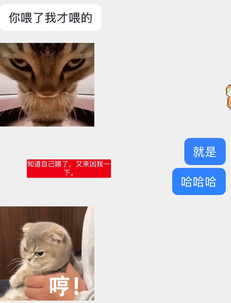 当你有个爱“惹事”的小朋友时… 