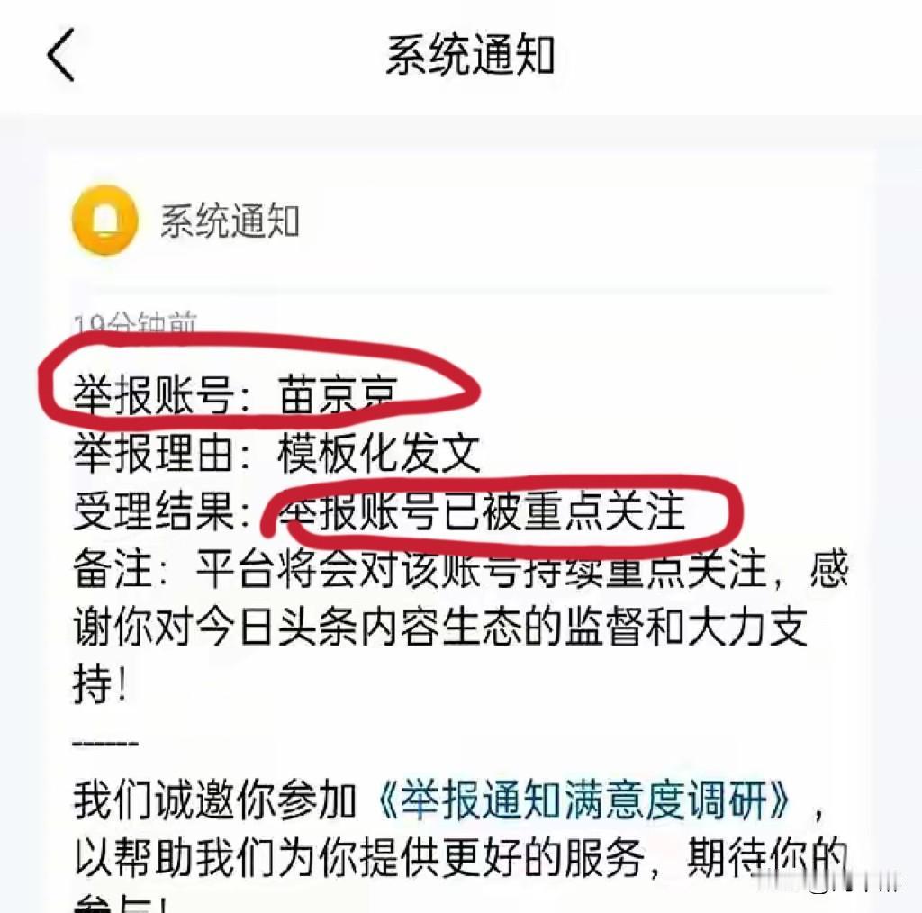 “举报帐号已被重点关注”！
这是没事干了，吃饱撑的。
还好意思晒在头条上。