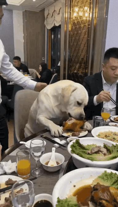 惊呆了……春节前夕，一电子公司举办年终大会，在酒店举行晚会，员工们都纷纷进场，也