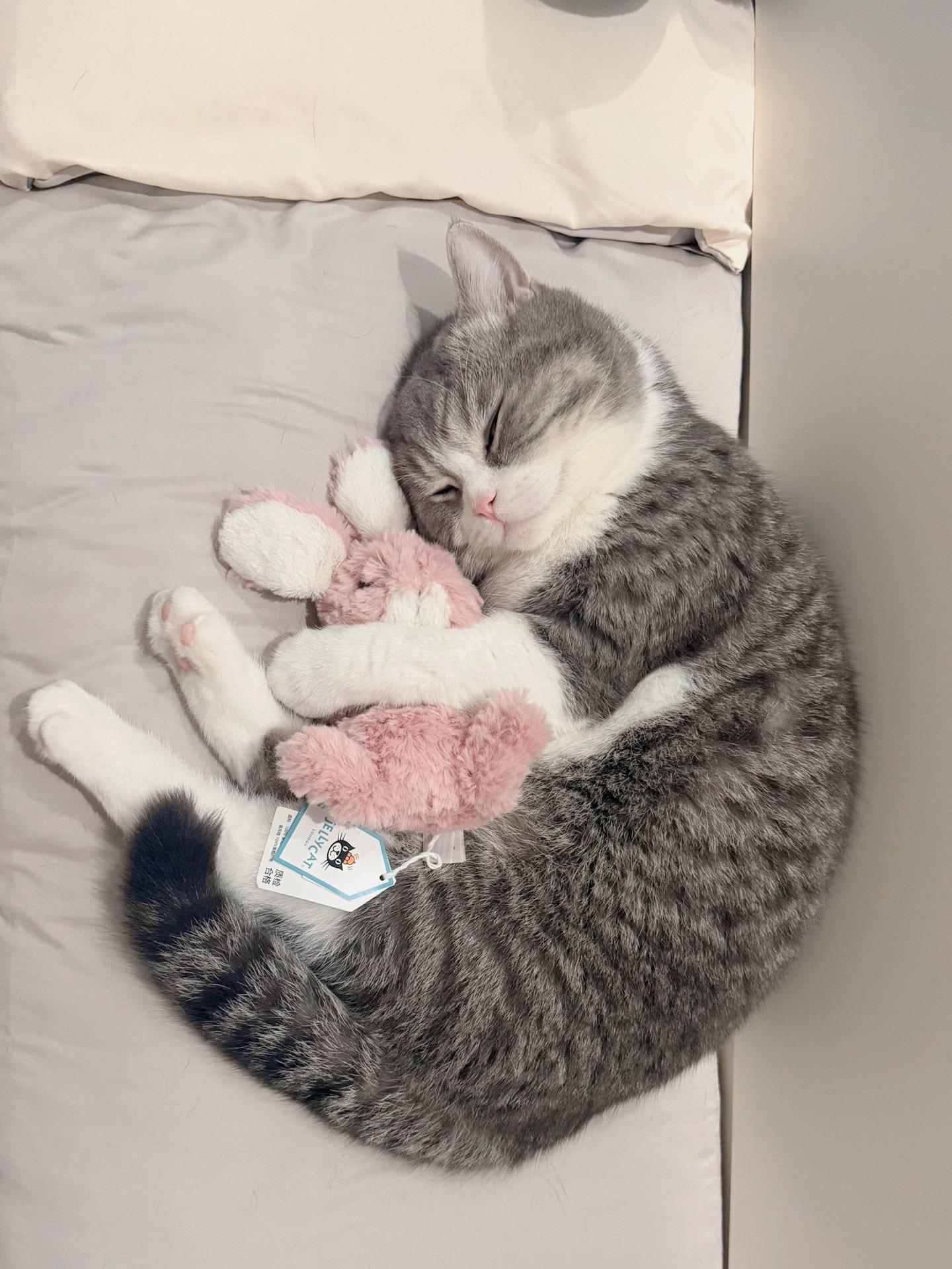 和她一起走过这城市许多的路