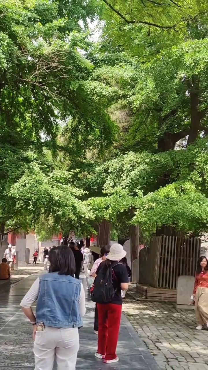 大家好，这里是嵩山少林的山门牌坊。这是少林寺的门楼，少林寺三个字是乾隆帝所书写。