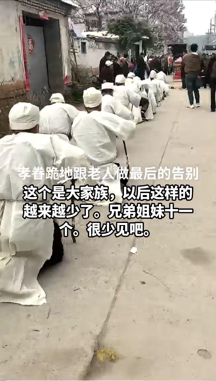 这是大家族，兄弟姐妹十一个，很少见吧！以后兄弟姐妹多的越来越少了，老龄化严重，少