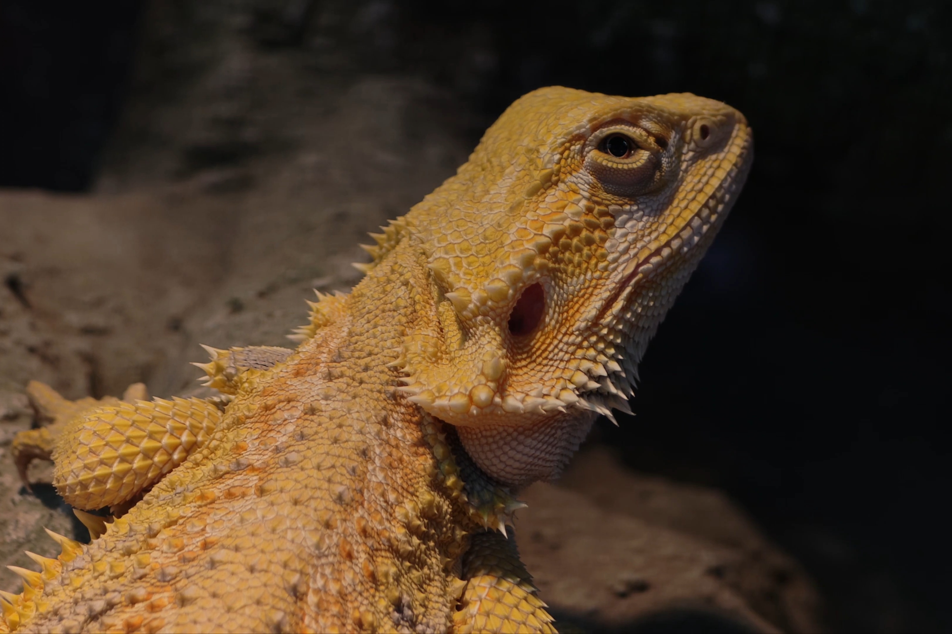 随手拍[yeah][yeah][yeah] ​​​