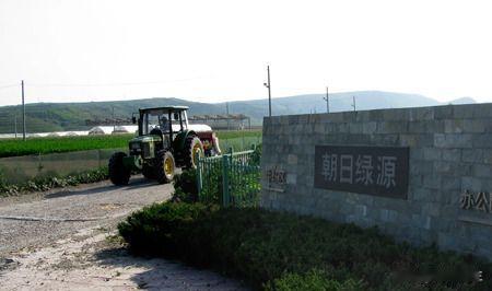 山东莱阳，一批日本人花费15亿租下1500亩良田，随后，就打了一口200米深的水