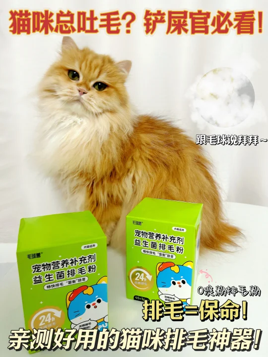 铲屎官必看！猫咪排毛秘籍 别让毛球搞事情