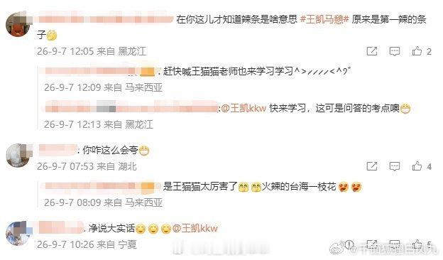 王凯回应辣条梗哈哈哈哈正主亲自下场玩梗可还行！王凯：我什么大场面没见过，这局我接
