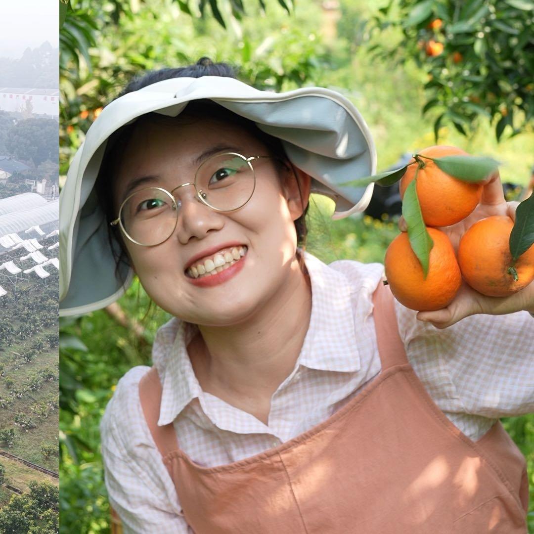 考研失败情侣辞职回村7年翻盘 女生种橙子总道歉被网友追着买
 
这逆袭故事也太燃