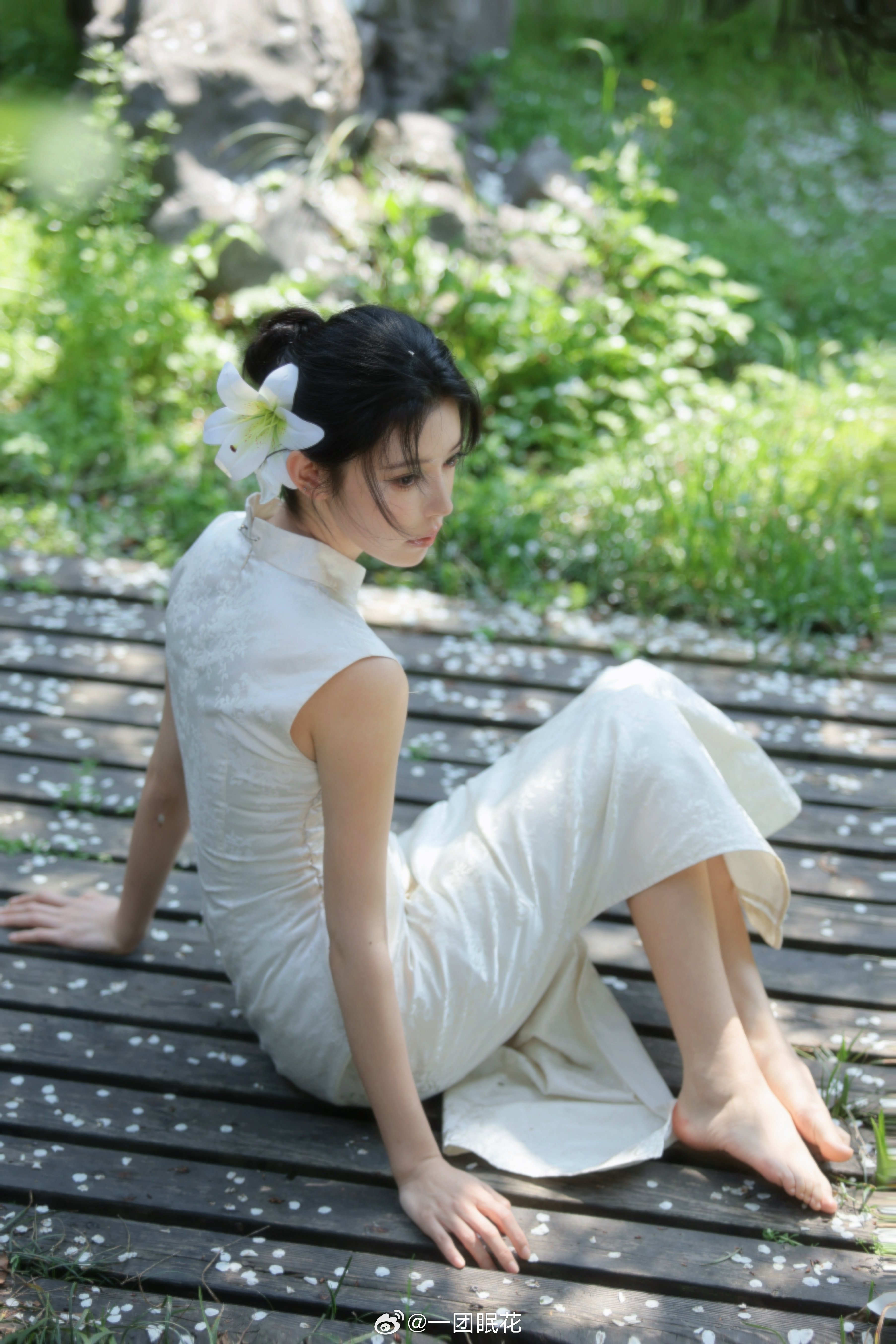 百合花 