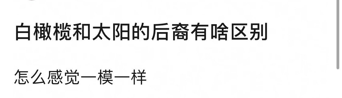 白色橄榄树与太阳的后裔的区别就是陈哲远会给你发红包 