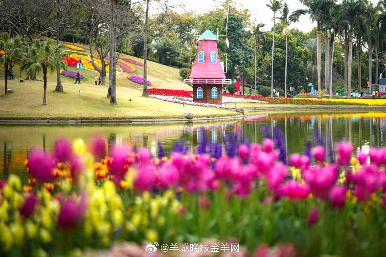 #早安# 请相信时间的力量，那些看似平淡的日复一日，终将见证未来的厚积薄发。 