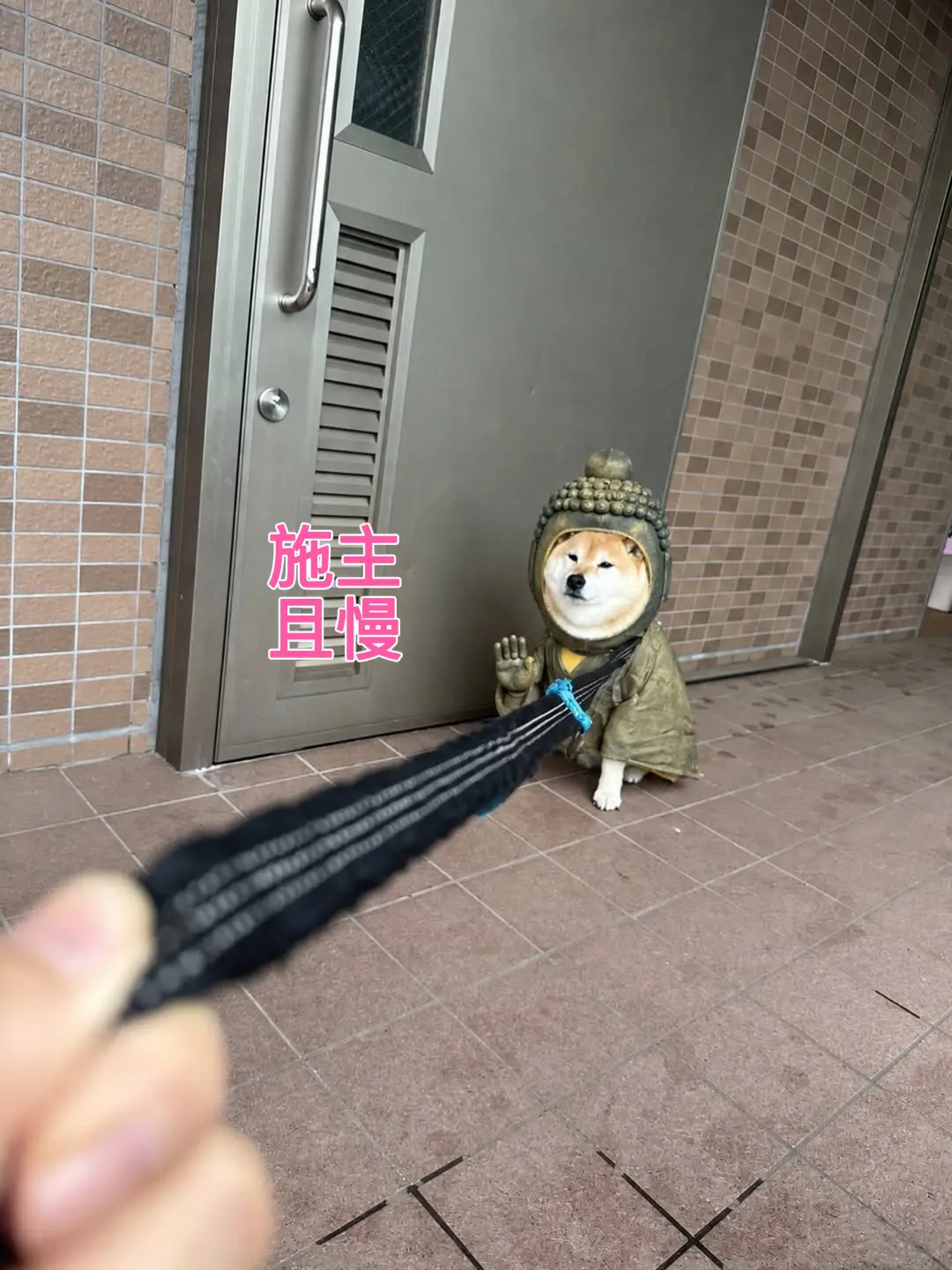 施主 且慢