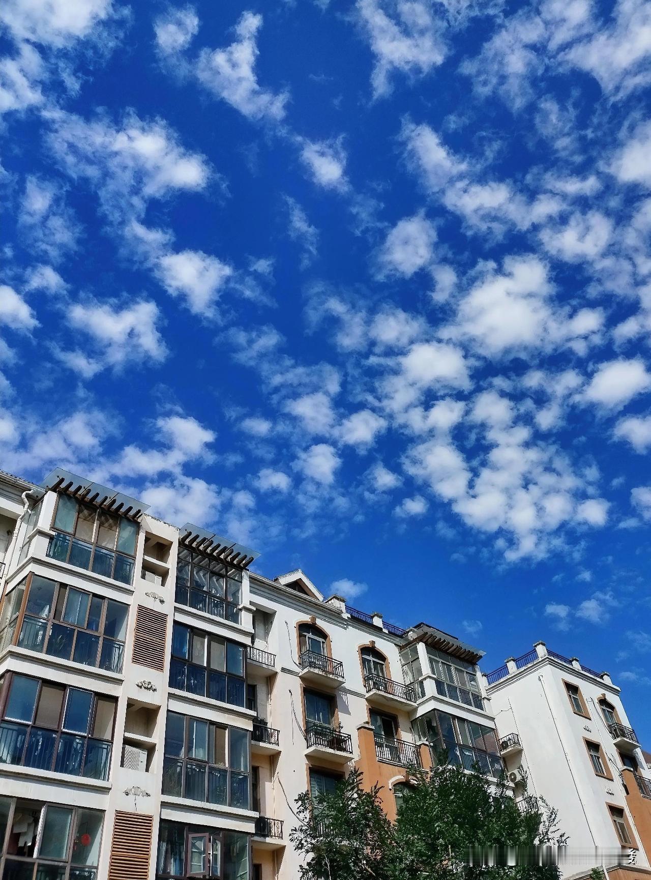 昨天发了7个AI小视频，之所以这样，主要是因为微头条收益跌进谷底，千次阅读单价不