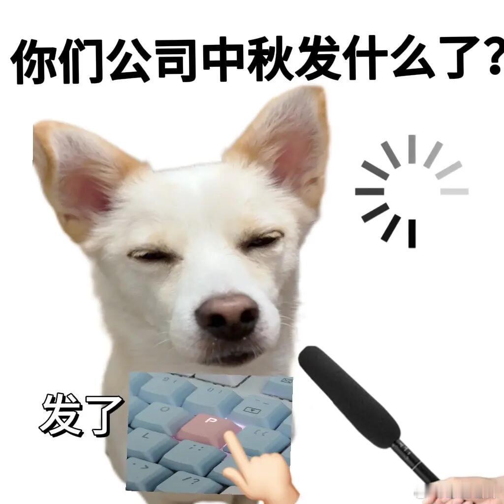 公司这福利也是没谁了谁能拒绝福利这么好的公司，大大小小的福利安排得明明白白。兼顾