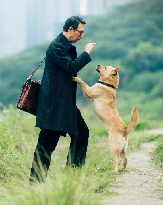 “能活在自己的喜欢里，那才叫活着。”——《忠犬八公》 ​​​