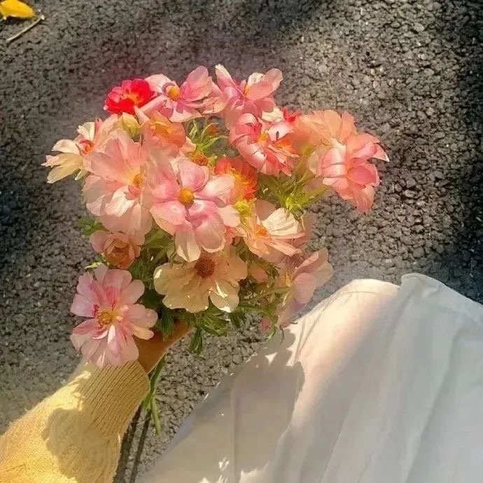 𝐋𝐞𝐭’𝐬 𝐠𝐨 🚗﹏“如果没有常青树，那就做自己的永生花” ​​