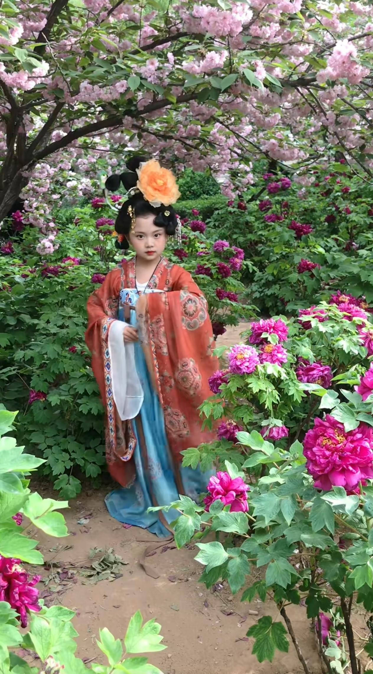 洛阳牡丹开，唐装小仙来！
        小侄女去洛阳看牡丹，这身装扮被惊艳到了