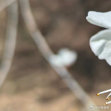 你所有的遗憾都跟钱无关你想起最遗憾的事，从来不是哪次没买、哪个投资亏了。你想起的