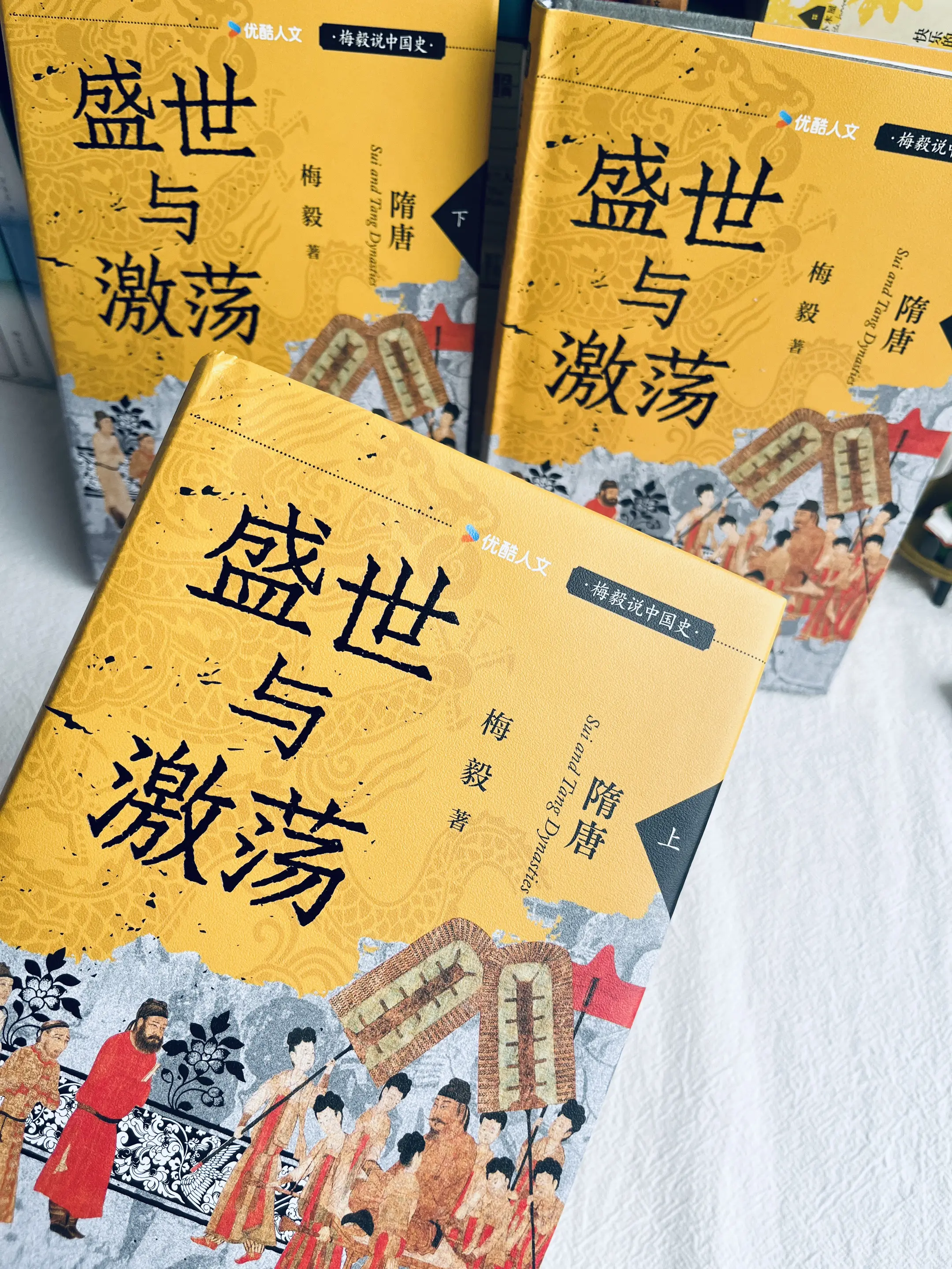 提起隋唐，我们脑海里全是盛唐的热闹风光。读完梅毅这本《盛世与激荡》才发...