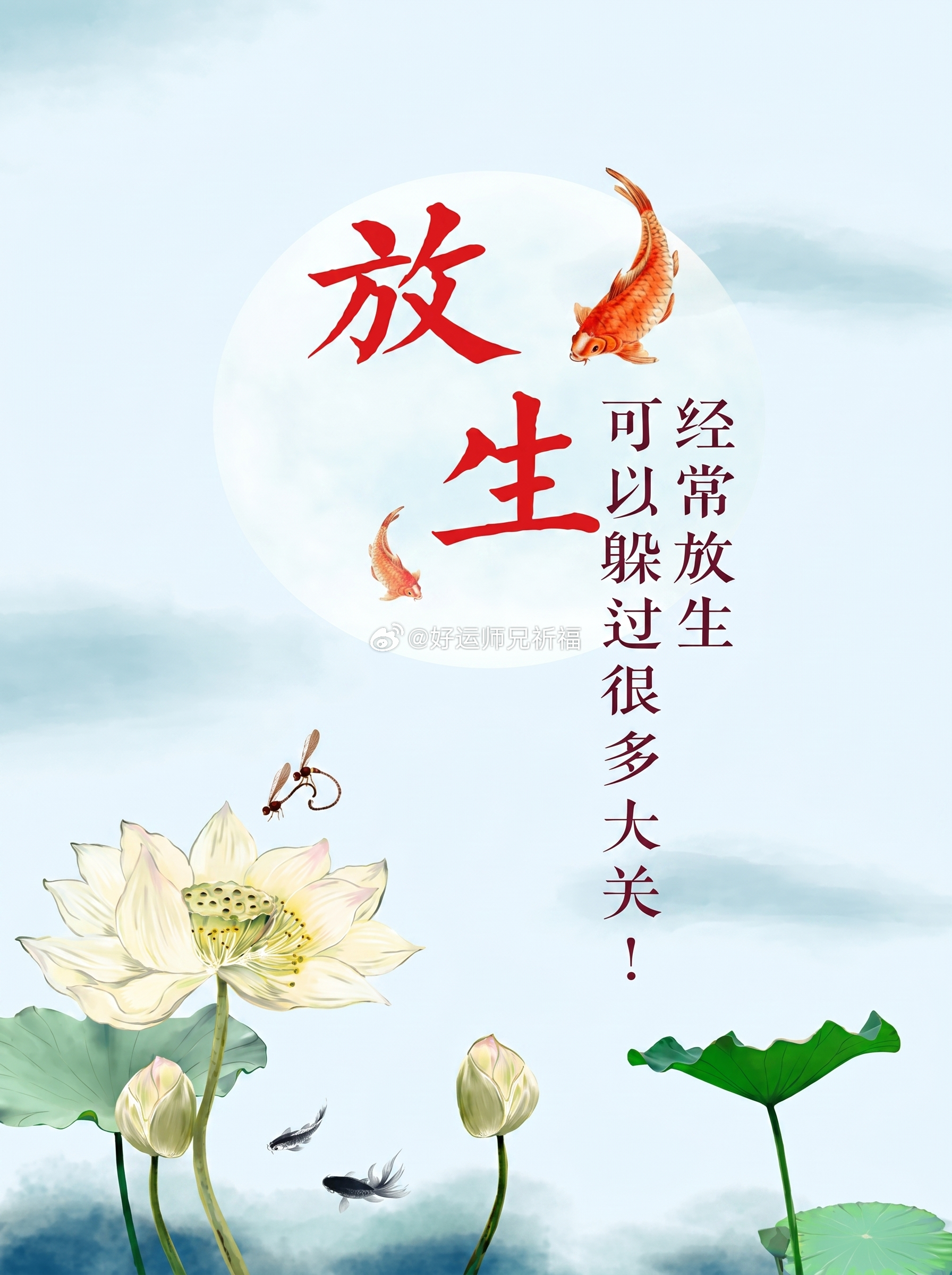 常怀慈悲诚心放生，便是在化解宿世业障，能帮我们安然渡过人世间诸多灾厄难关🙏救下