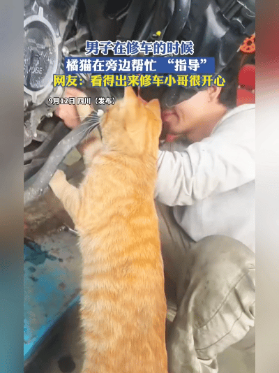 搞笑名场面！橘猫化身老师傅，蹲在一旁指导男子修车
 
趣味十足，四川男子修车干活