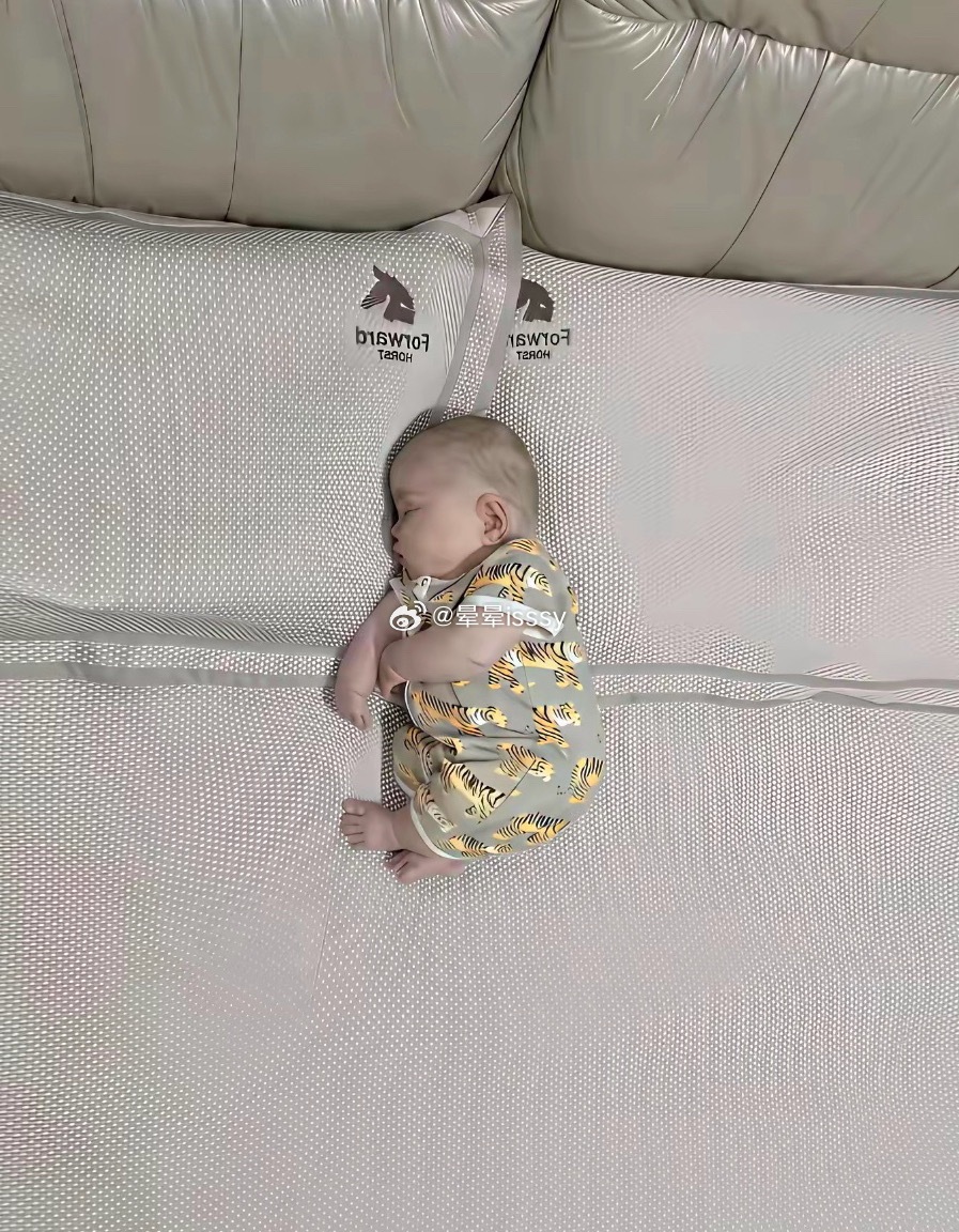 大家说这小家伙得花多少钱养大