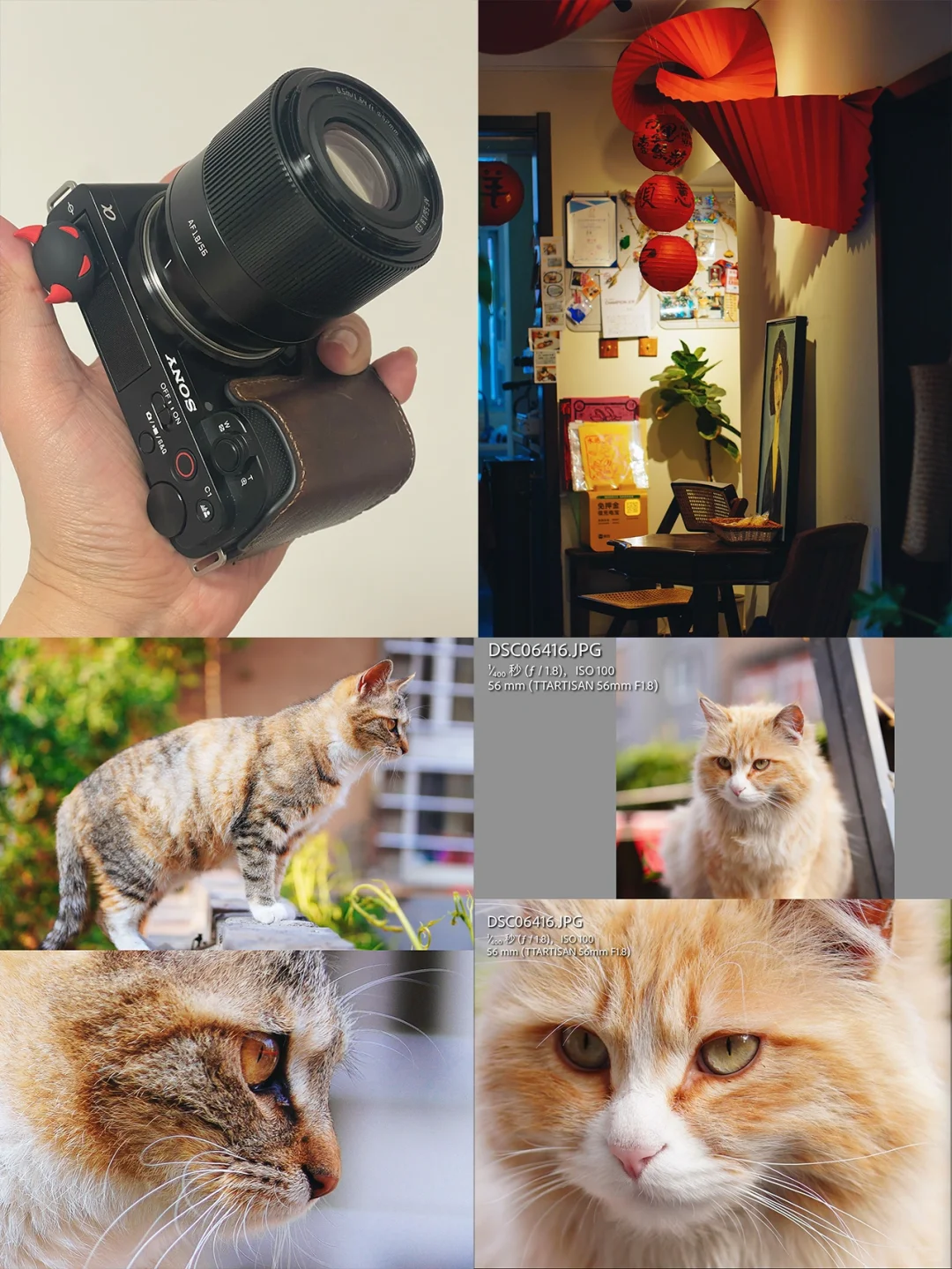 来看看铭匠56 1.8AF的锐度逆光
