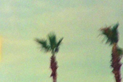 完全夏日女王来的☀️ ​​​
