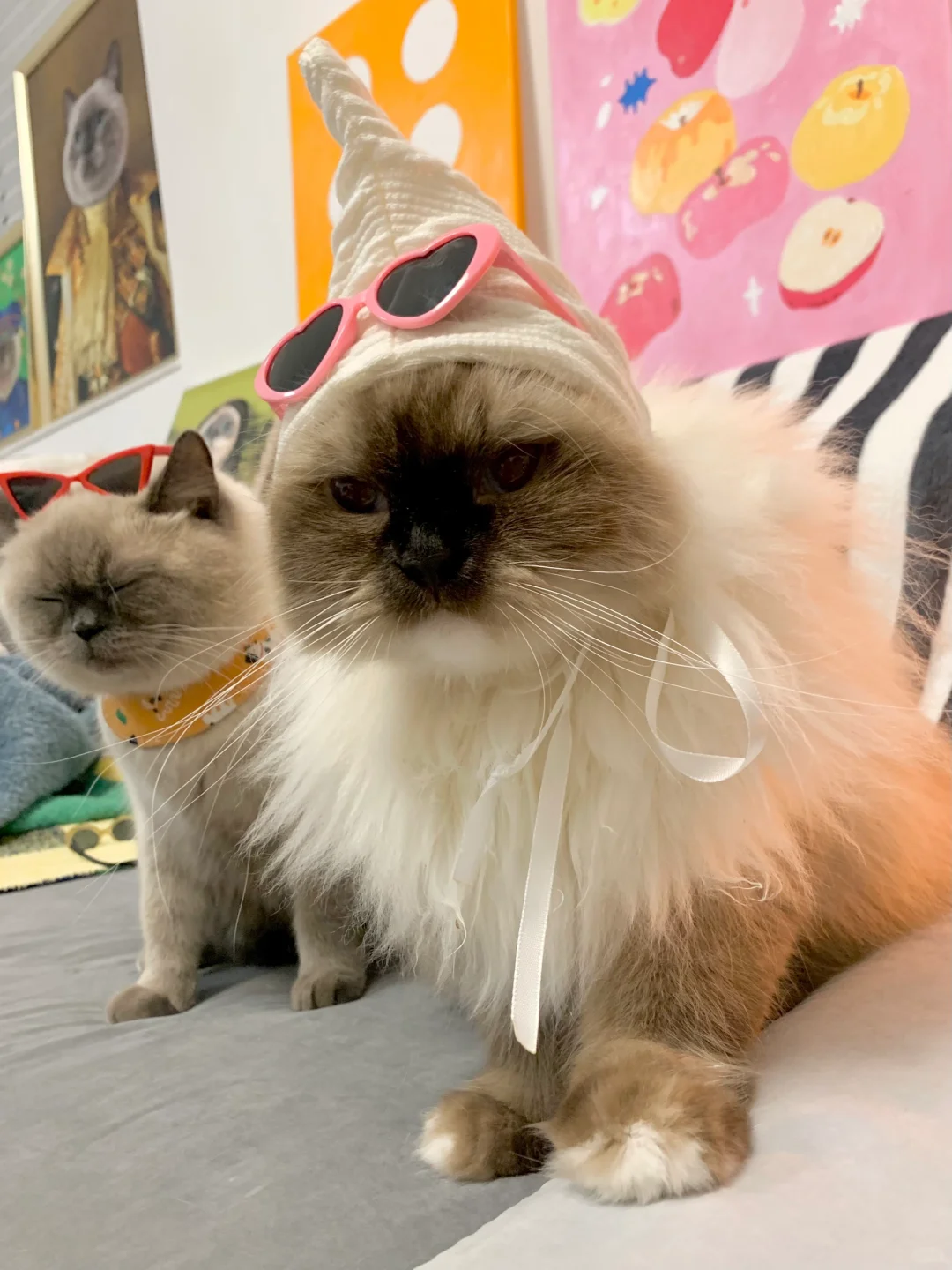 我的六千块和0元购越来越像了