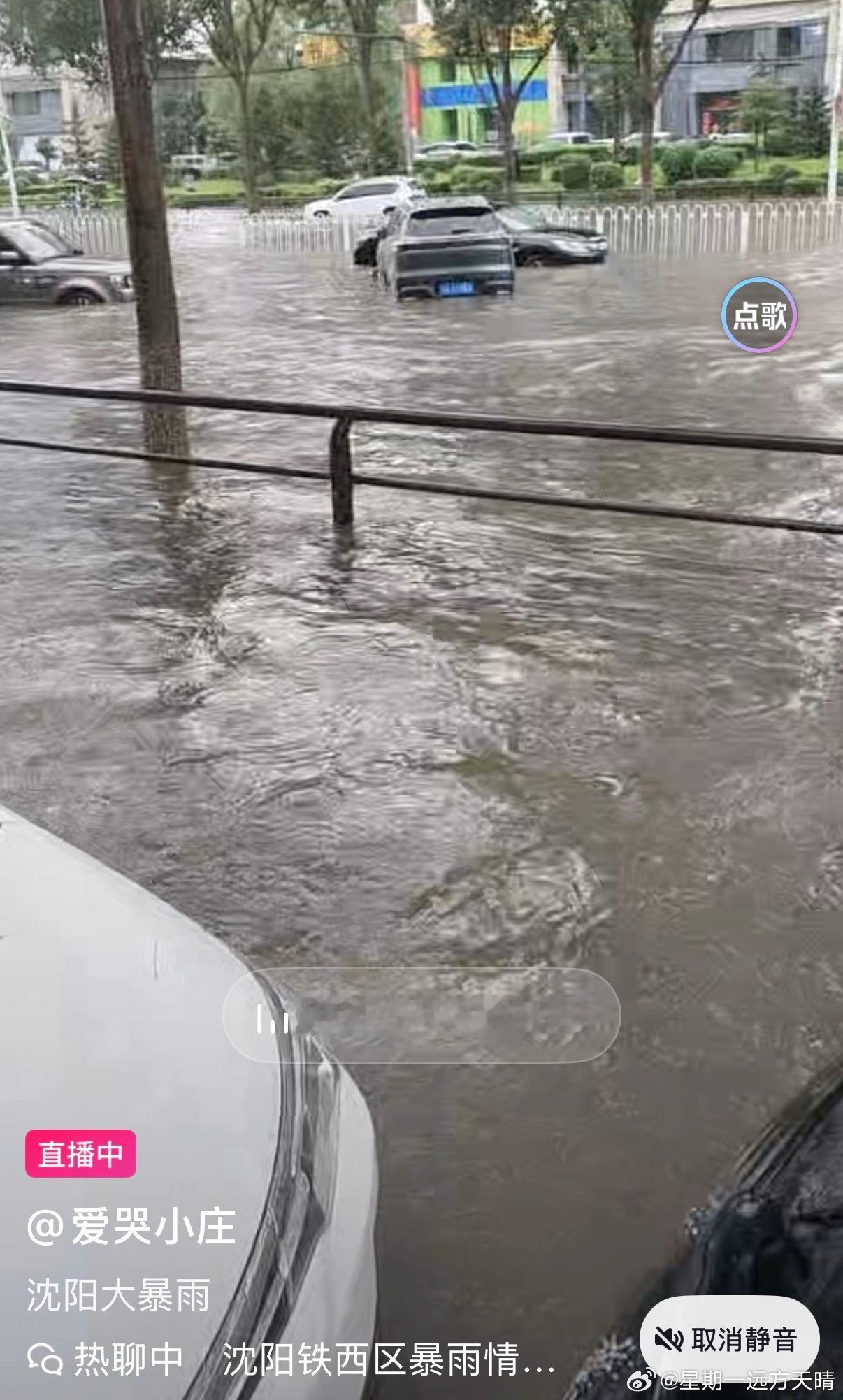 青岛 海水倒灌沈阳暴雨，马路中央的车都被淹没了。 