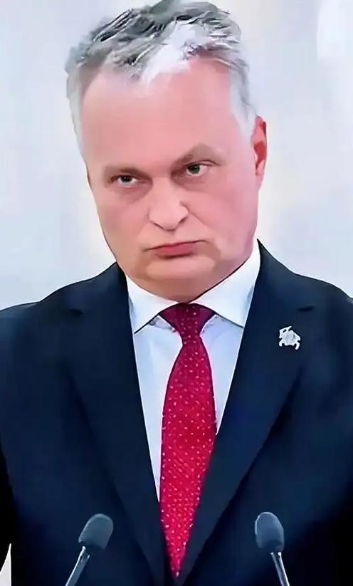 活久见！立陶宛总统瑙塞达为了推脱责任，2月12日他对着立陶宛国家广播电视台，公开