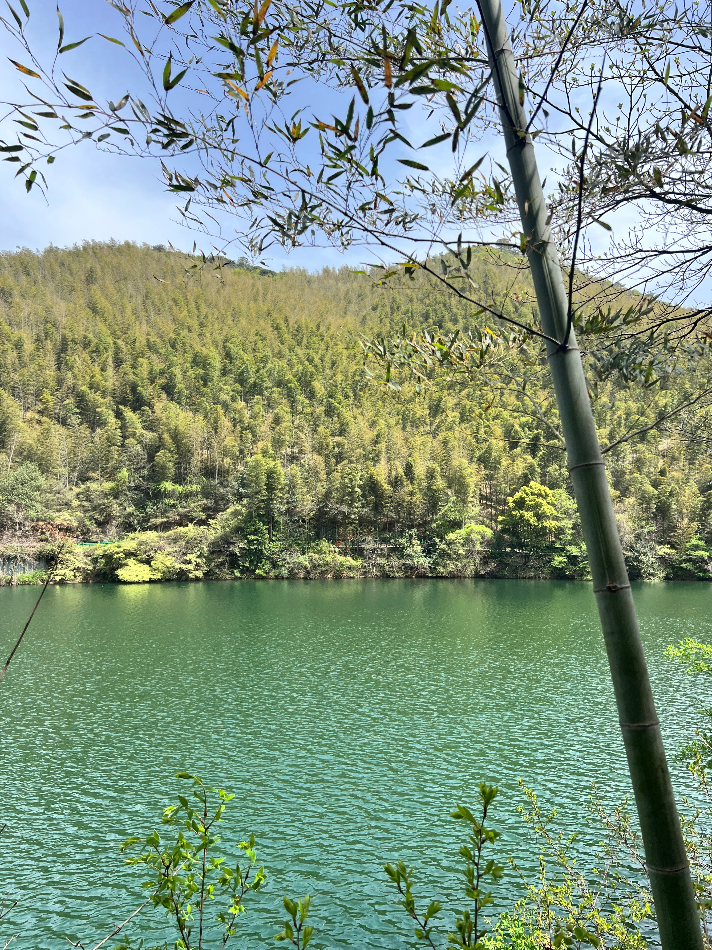 已上山，已累晕给你 我眼中的世界