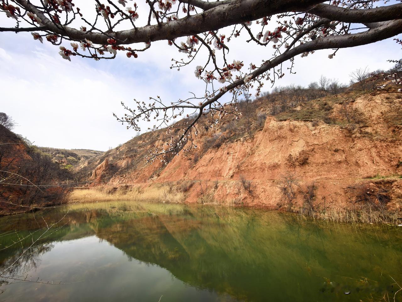 清明 又是一年清明，春风送暖，细雨寄情。我们以鲜花祭奠故人，用扫墓寄托思念，在缅