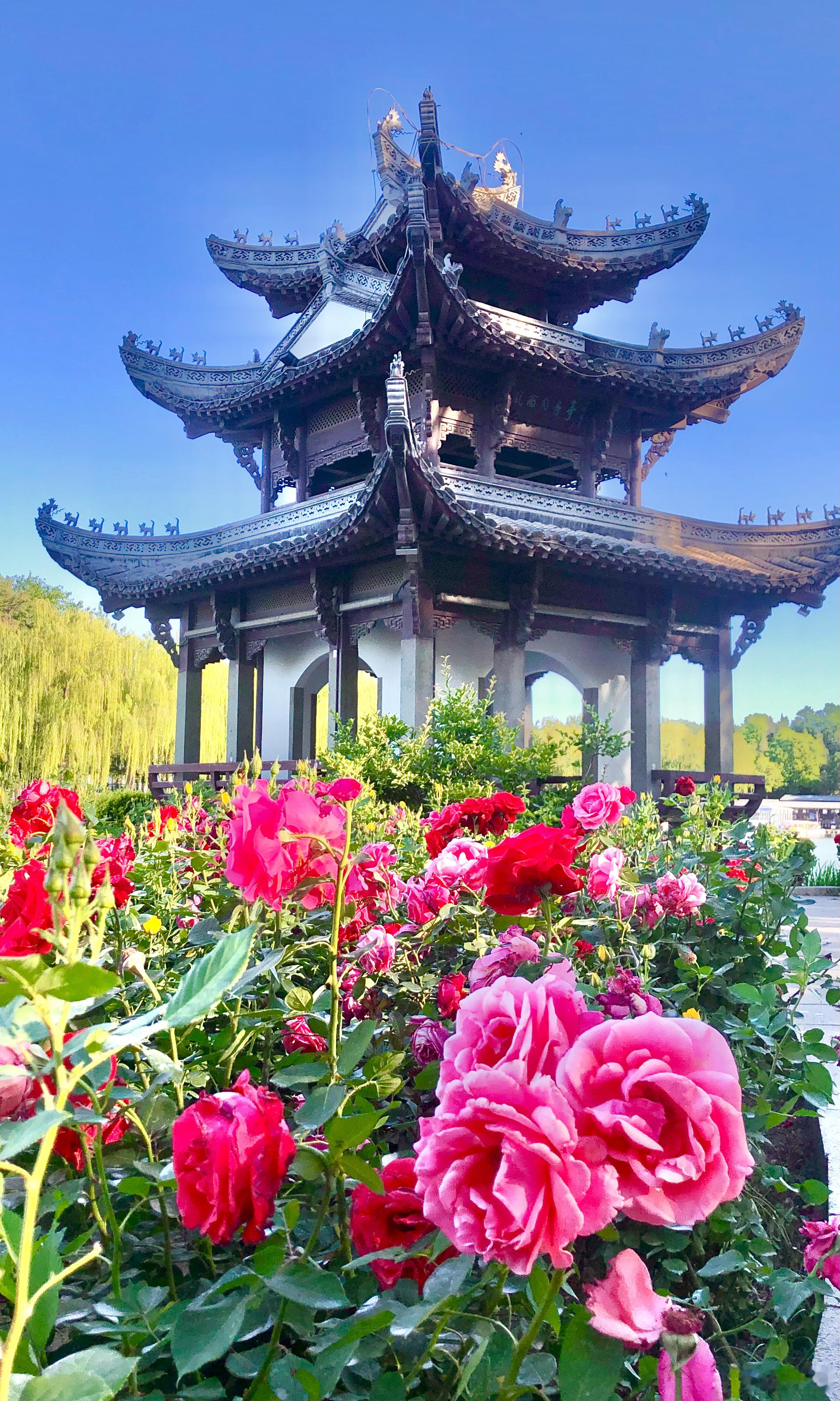 【北京市陶然亭公园 】晴云生碧宇，明夏得薰风 疏红飞墨沼 浓绿映朱栊摄影​​​