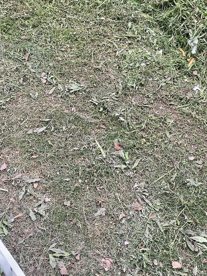 人在没钱的时候，

尊严就像这路边的野草，

谁来都可以踩一脚。

所谓骨气，不