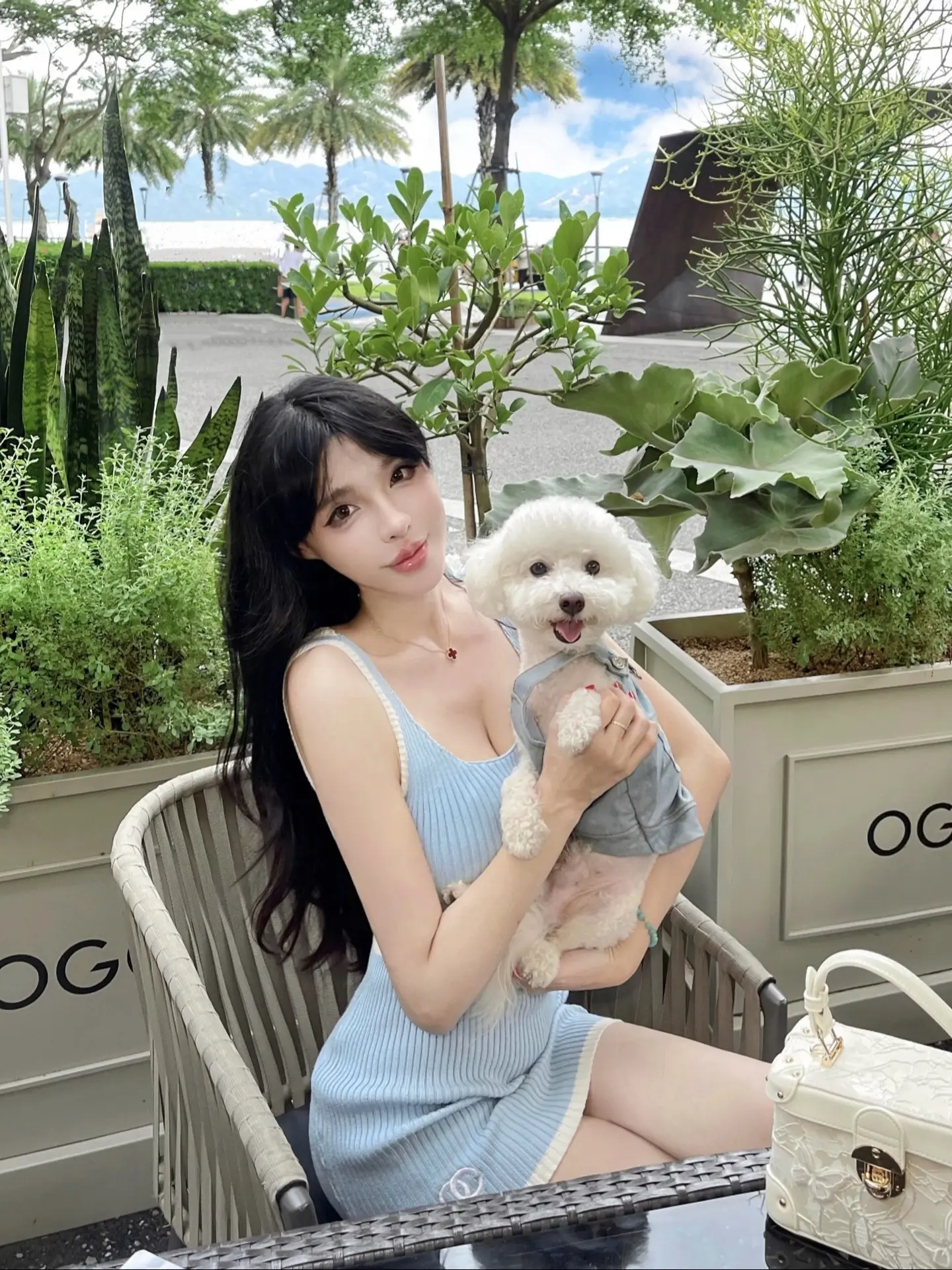 我的小狗🐶笑的好甜😊。我家狗子剪毛被剪坏了，怕它抑郁带它出来玩，结...