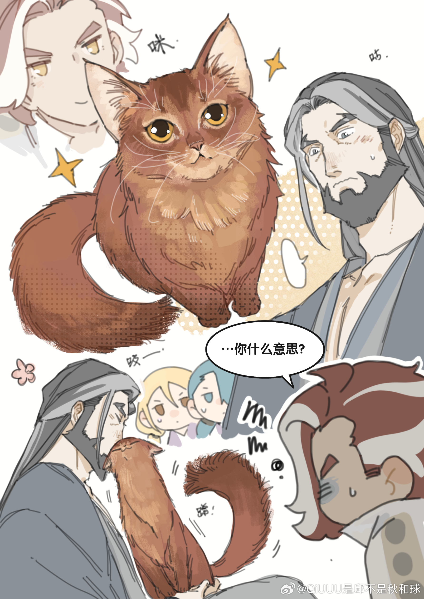 突然感觉池长老的配色也很像索马里猫…（奖励自己摸鱼一下！ 