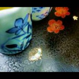软鸭侃侃科技