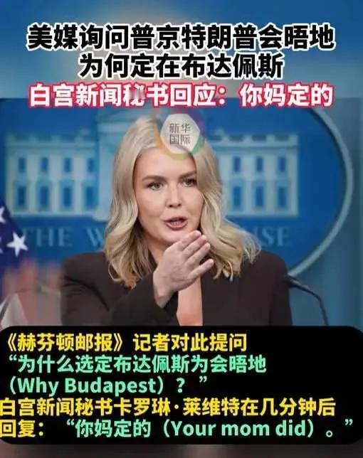 成功给我逗笑了，用咱们大白话讲，是不是“来事”了？情绪这么暴躁！

“你妈选的！