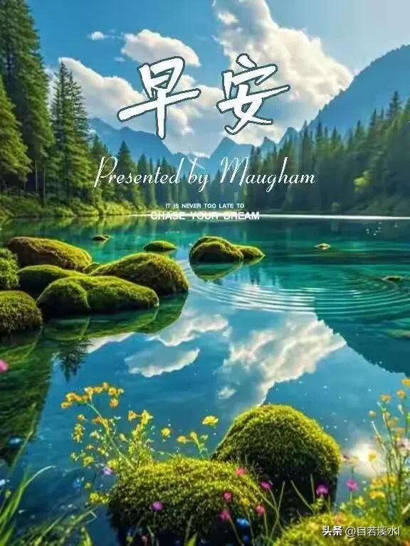 清晨阳光温柔，愿你带着好心情，奔赴今日美好。