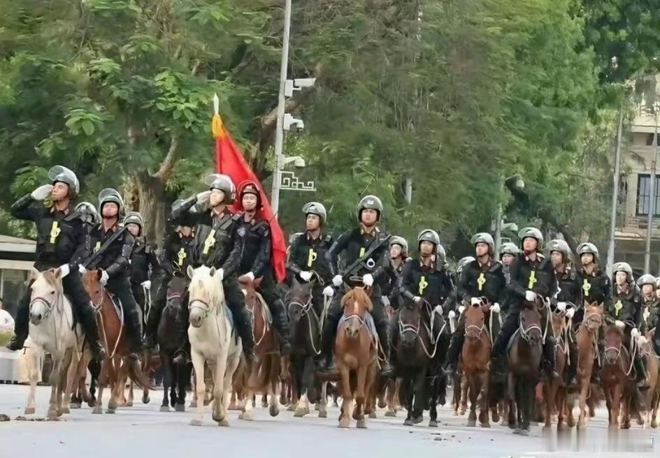 越南骑兵队伍，要是不说，我还以为是旋转木马[允悲] ​​​