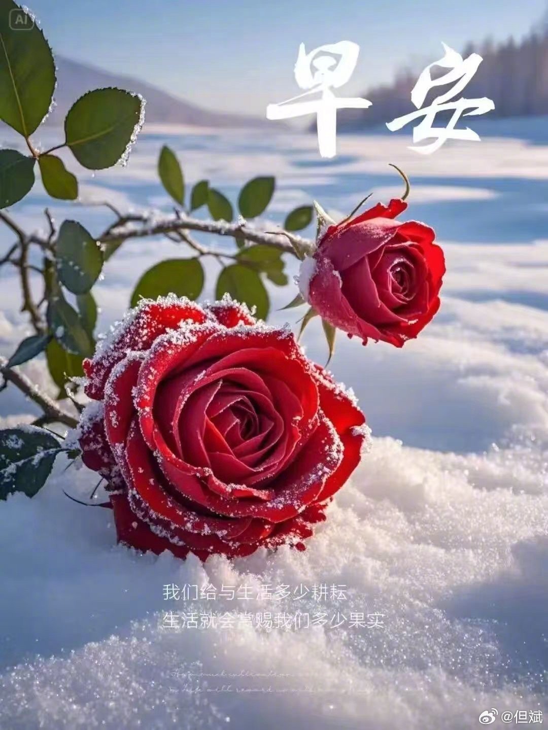 转：平淡的生活最真，静静的人生最美，心安的日子最好。不求所有日子都泛着光，只愿每